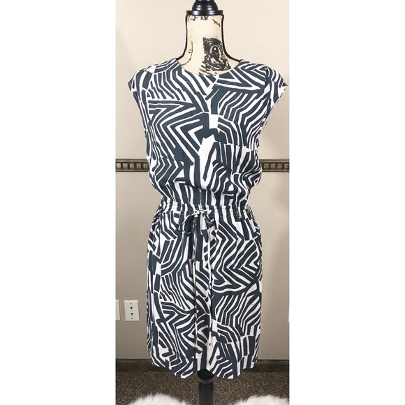 LOFT Dresses & Skirts - LOFT Zebra Print Dress